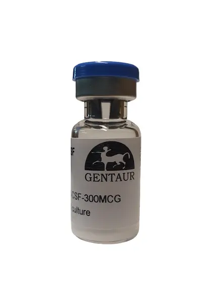  GMP Recombinant Human Interleukin-4 (IL-4), 50 ug